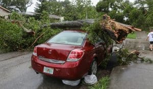 Red car damaged by a tree that fell on it